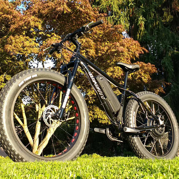 fat tire ebike