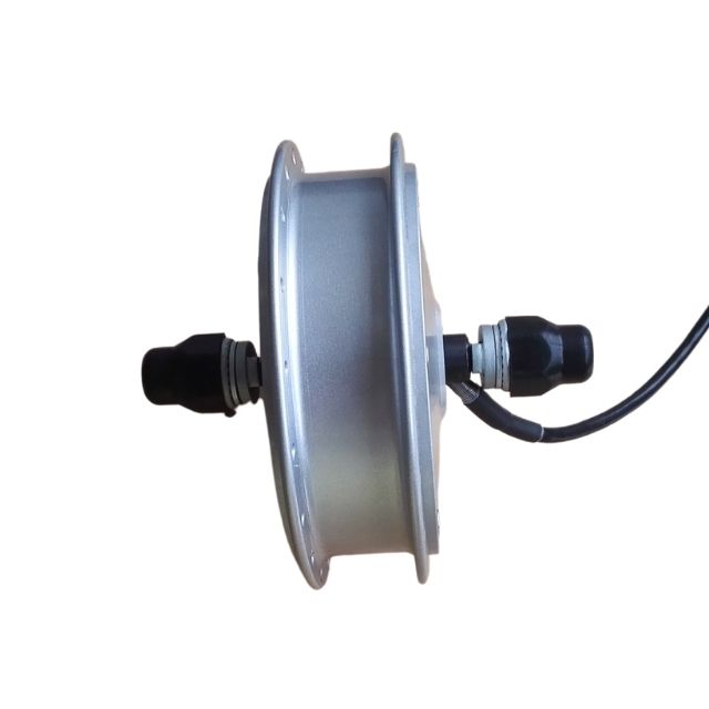 D200 ebike motor 002