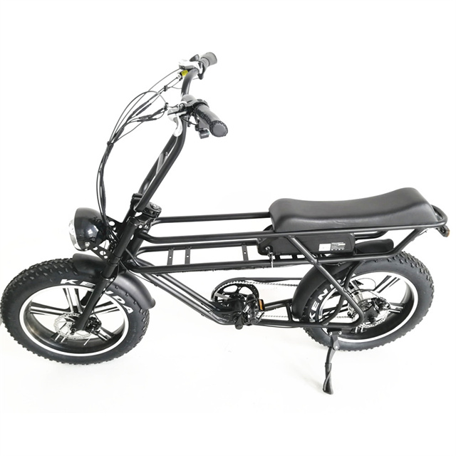 fat tire electric bike 001