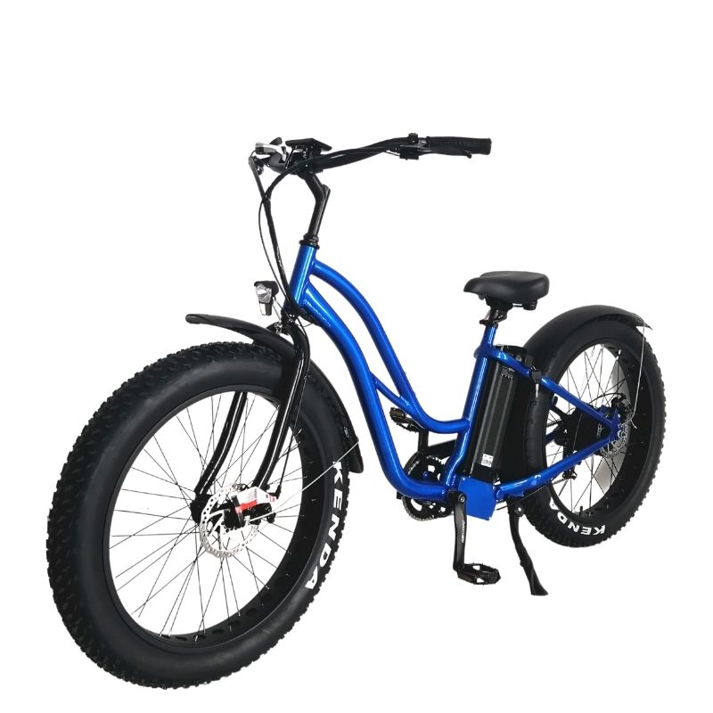 SF lithium ion battery 006