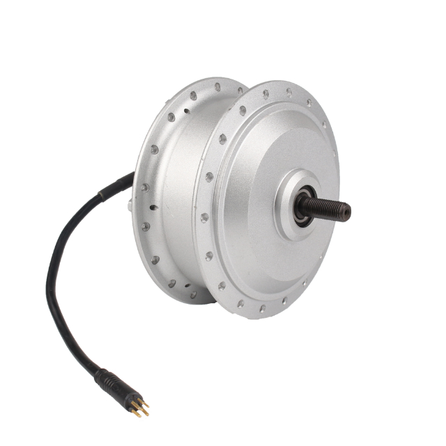SQG24 ebike motor004
