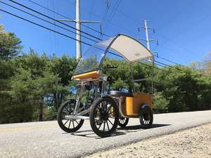 elepedeol single shaft aluminum alloy casting wheel motor 02