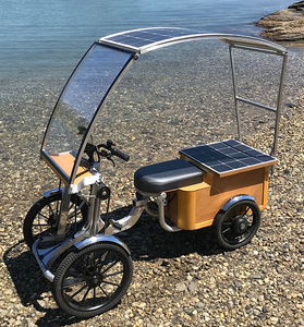 elepedol single shaft aluminum alloy casting wheel motor 01